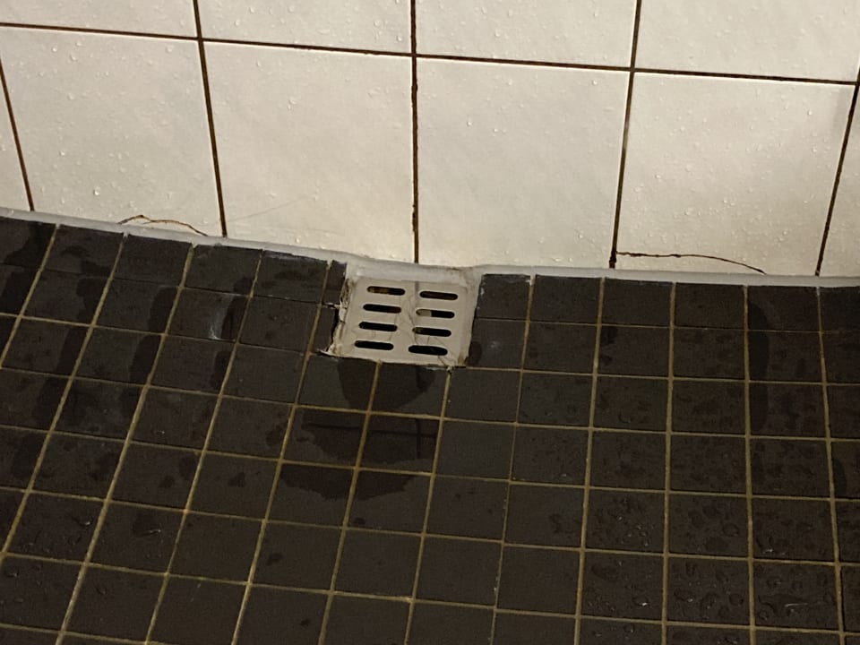 Zimmer Dorint Hotel Bonn