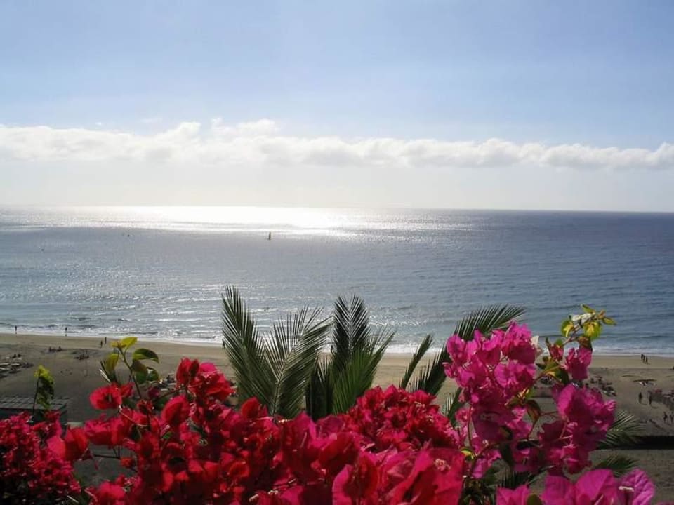 Blick Jandia Princess Club Jandia Princess