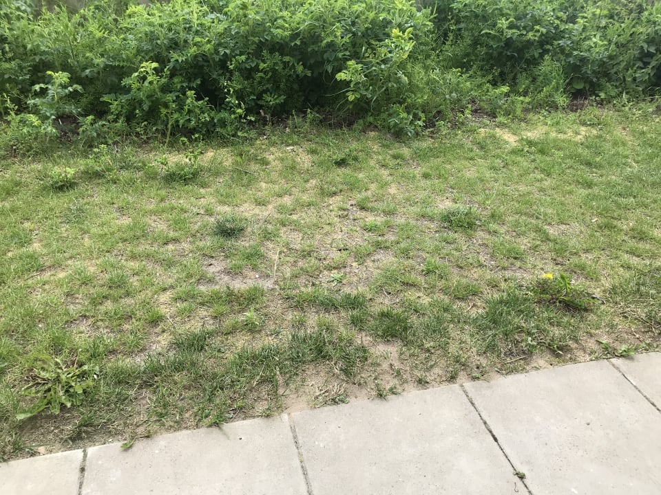 Außenansicht BEECH Resort Boltenhagen