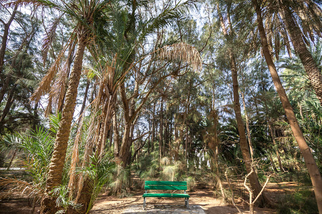 Gartenanlage Marhaba Royal Salem