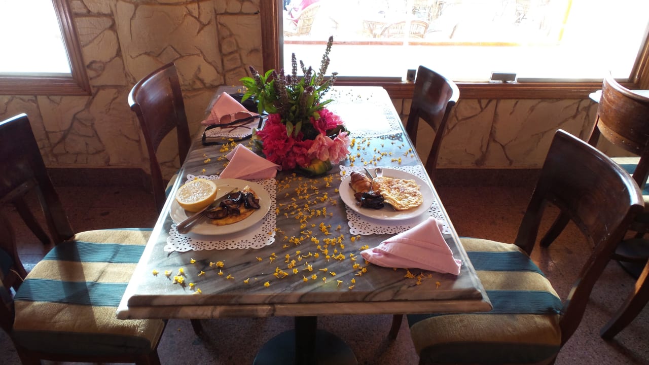 Geburtstag I Happy Life Village