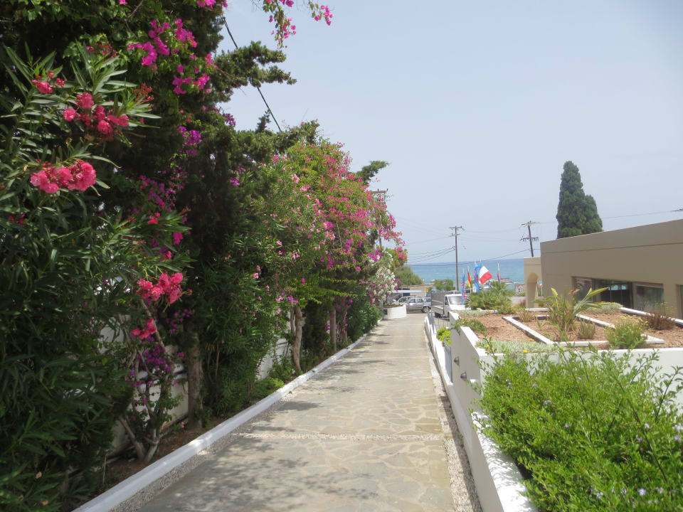 Porto Angeli alltoura Club Hotel Porto Angeli Beach Resort