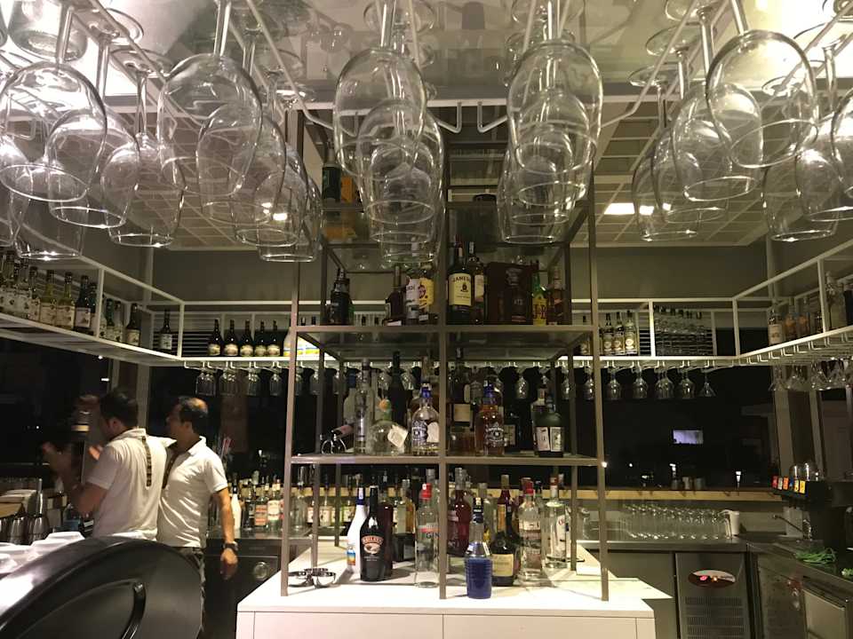 Gastro Acanthus Cennet Barut Collection