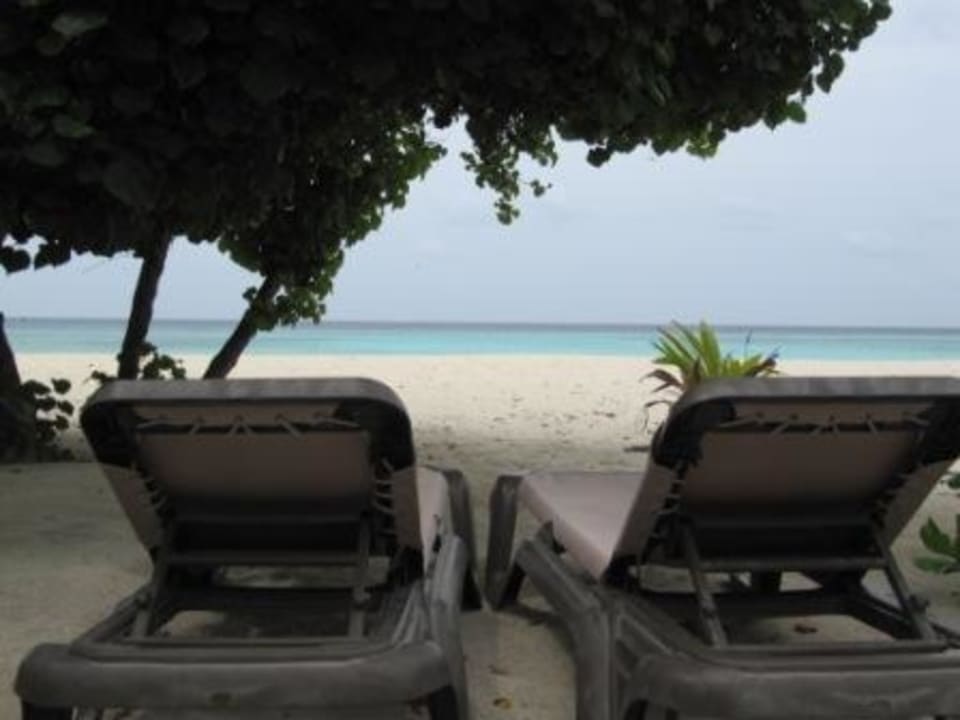 Liegen am Strand Kuredu Island Resort & Spa