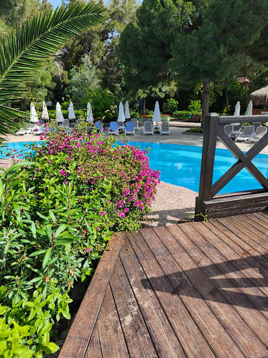Pool Blue Waters Club