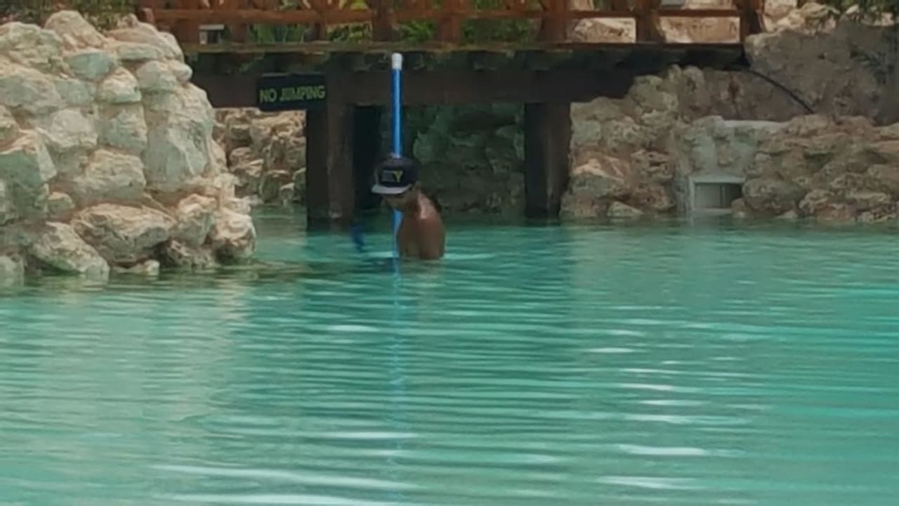 Pool Ghazala Gardens