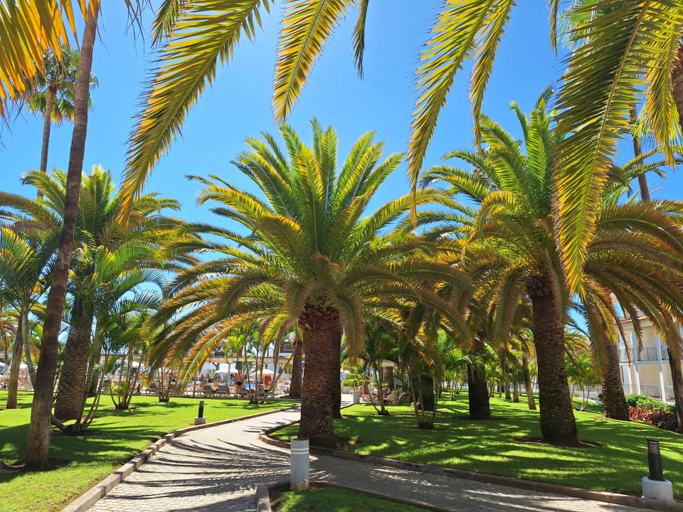 Gartenanlage Hotel Riu Arecas - Adults only