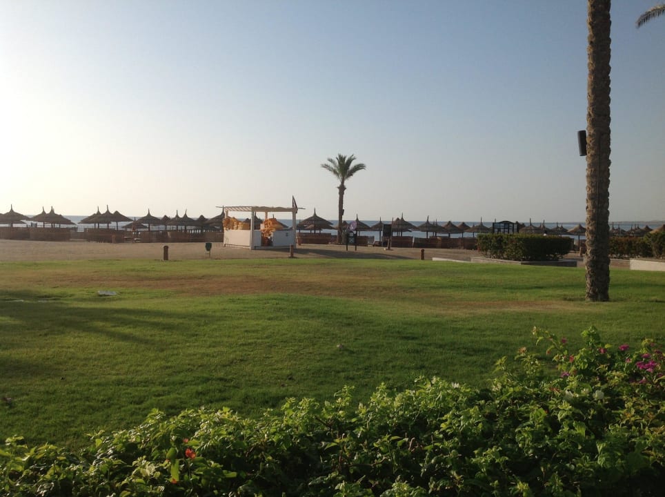 Blick zum Hotelstrand  Pickalbatros Palace Hotel-Port Ghalib