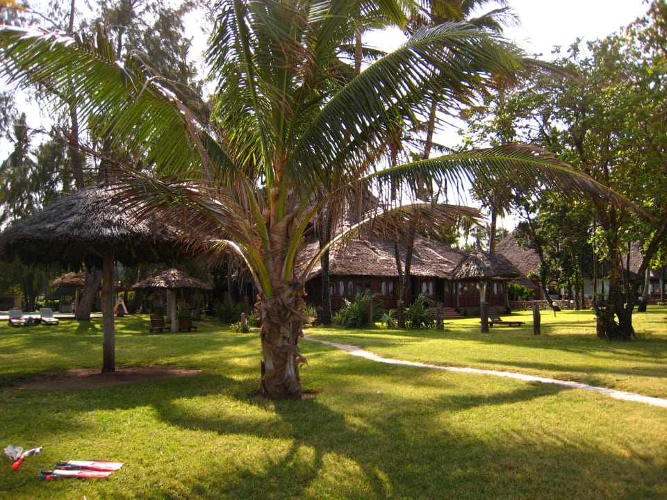 1000 Palmen Neptune Village Beach Resort & Spa