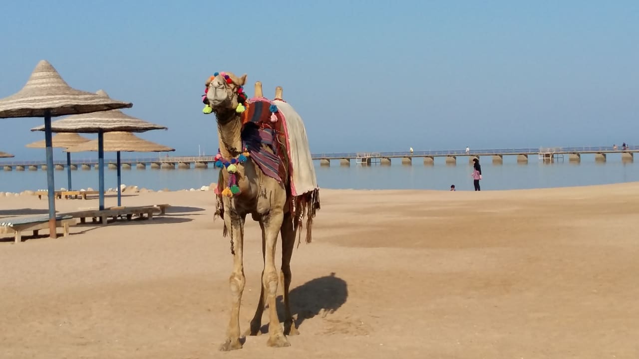 Strand LABRANDA Club Makadi
