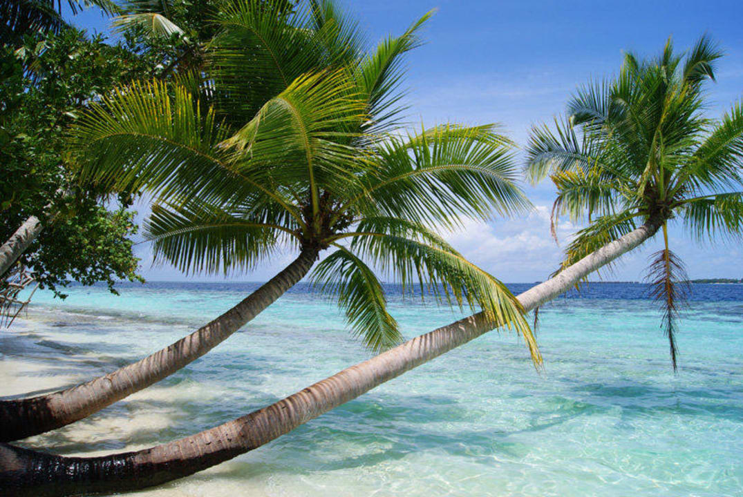 Eine schöne Stelle Vilamendhoo Island Resort & Spa