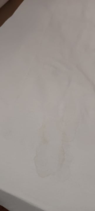 Sonstiges Clover Magic Nova Beach