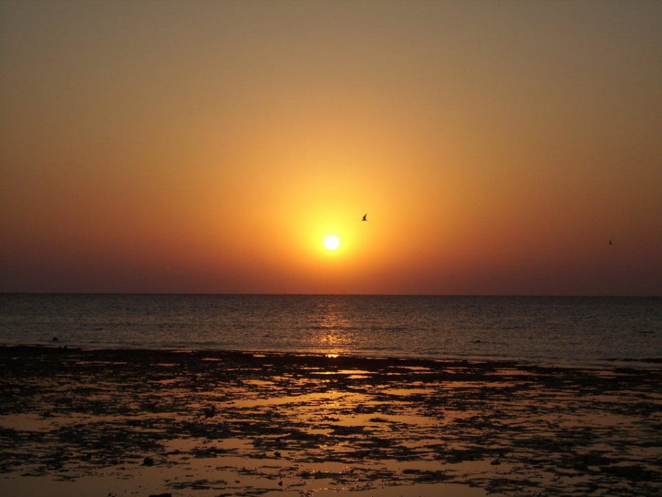 Sonnenaufgang Grand Makadi