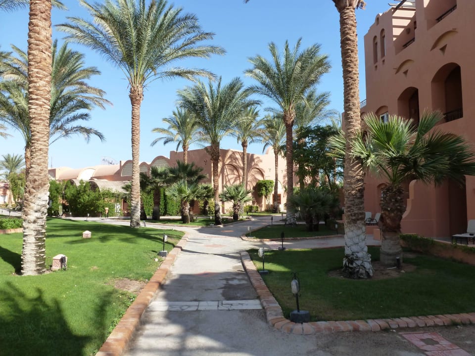 Gartenanlage                                       Jaz Makadi Oasis Resort
