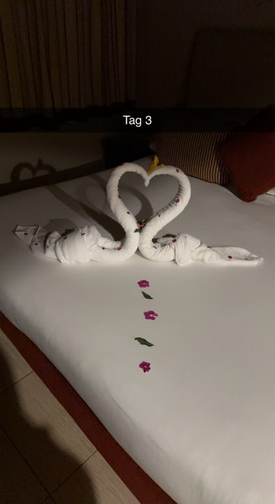 Zimmer Jaz Makadi Oasis Resort