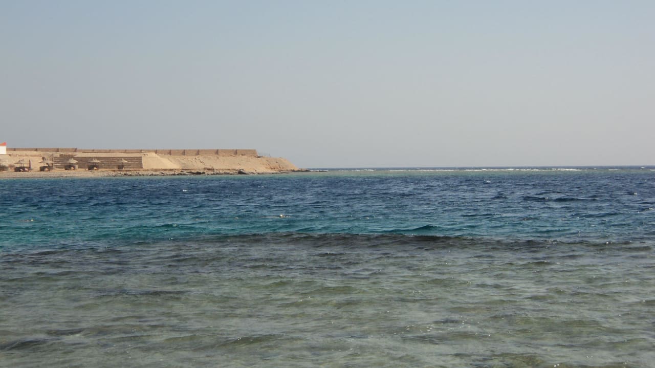 Korallenriff im Meer Coral Sun Beach