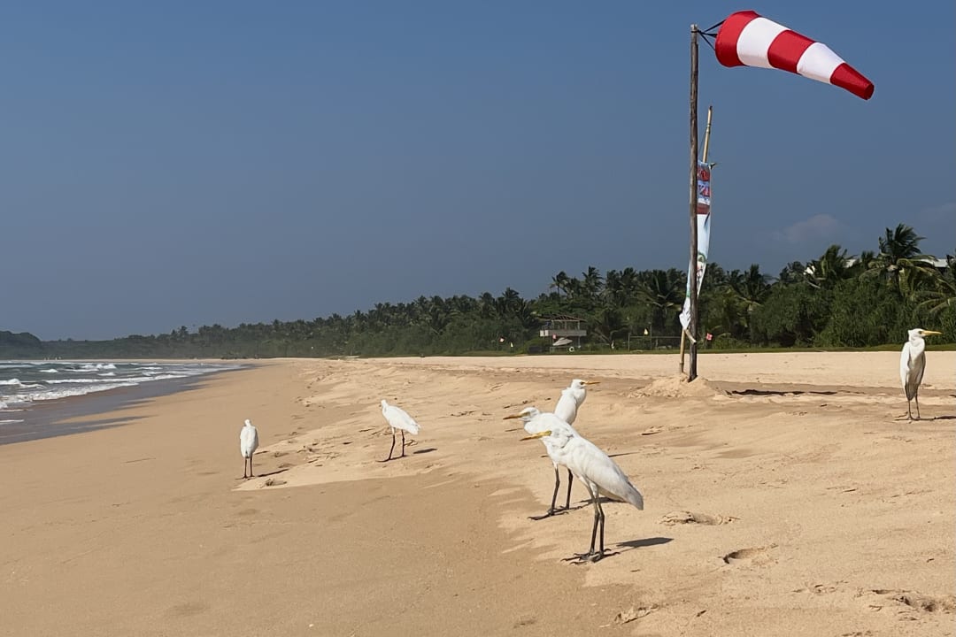 Strand Taj Bentota Resort & Spa