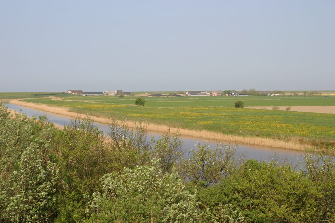 Ausblick Ferienhaus Hemenswarft direkt an der Nordsee mit Meerblick