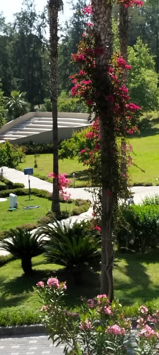 Ausblick Club Sidelya Hotel