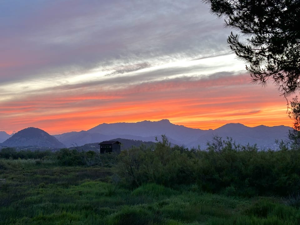 Ausblick PortBlue Club Pollentia Resort & Spa