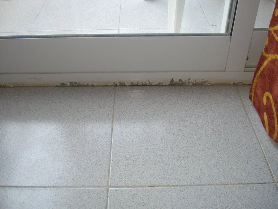 Überall nagt die Zeit Zafiro Bahia