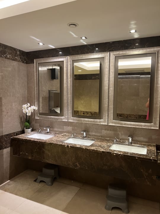 Sonstiges Papillon Ayscha