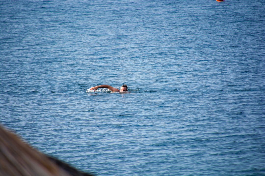 Strand Hotel Melissa Gold Coast