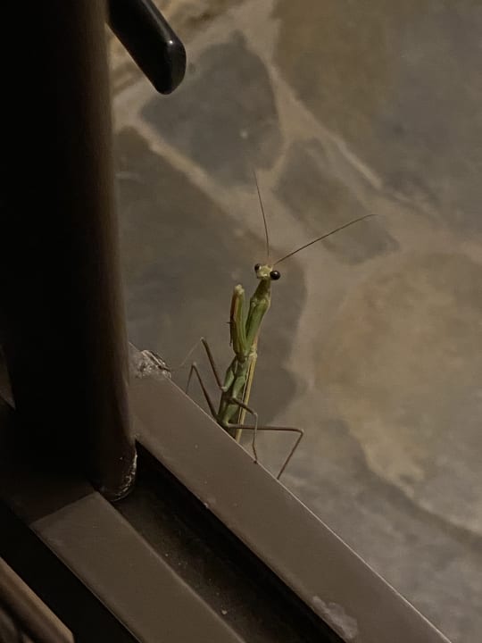 Sonstiges Hotel Kalithea Horizon Royal