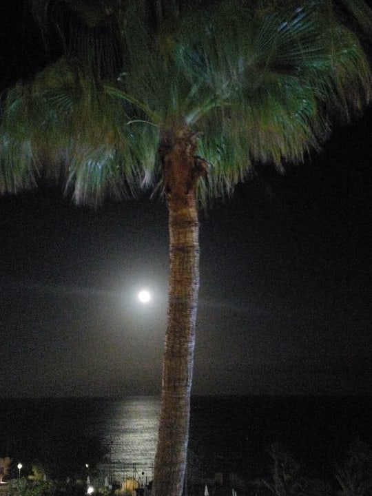 Ausblick H10 Tindaya