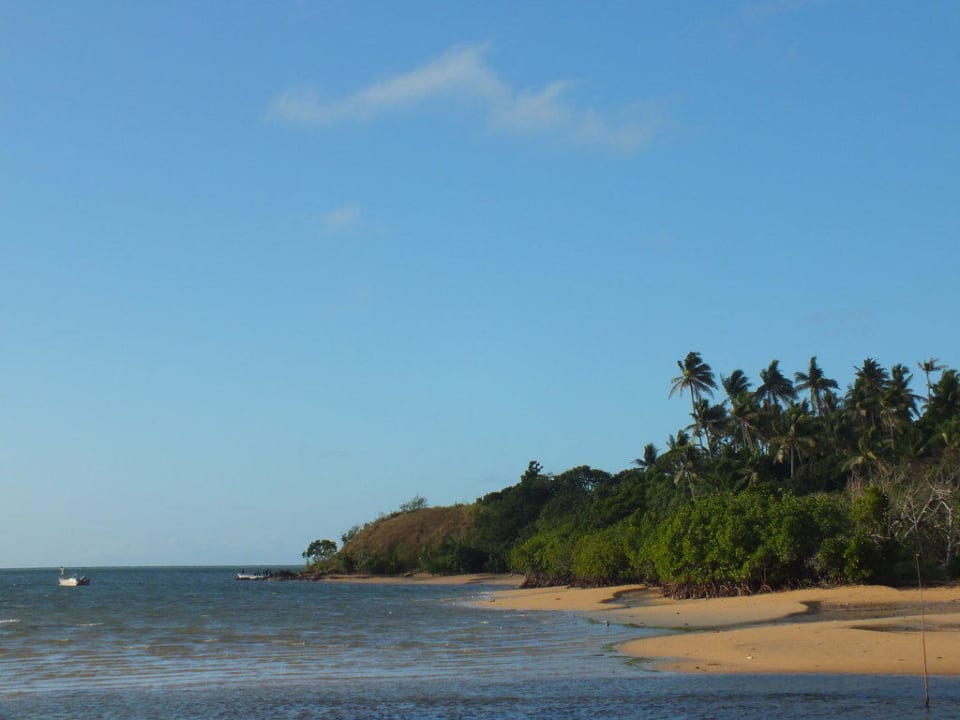 Strand bei Ebbe! Bay of Plenty Lodge