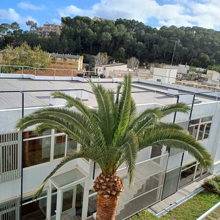 Ausblick Hotel Aparthotel Paguera Beach