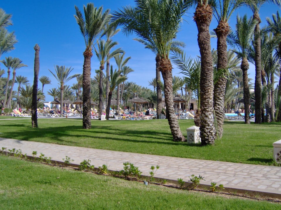 Enorme jardin interieur Zita Beach Resort