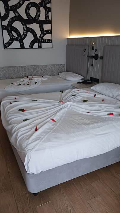 Zimmer Seven Seas Palmeras Bay Alanya