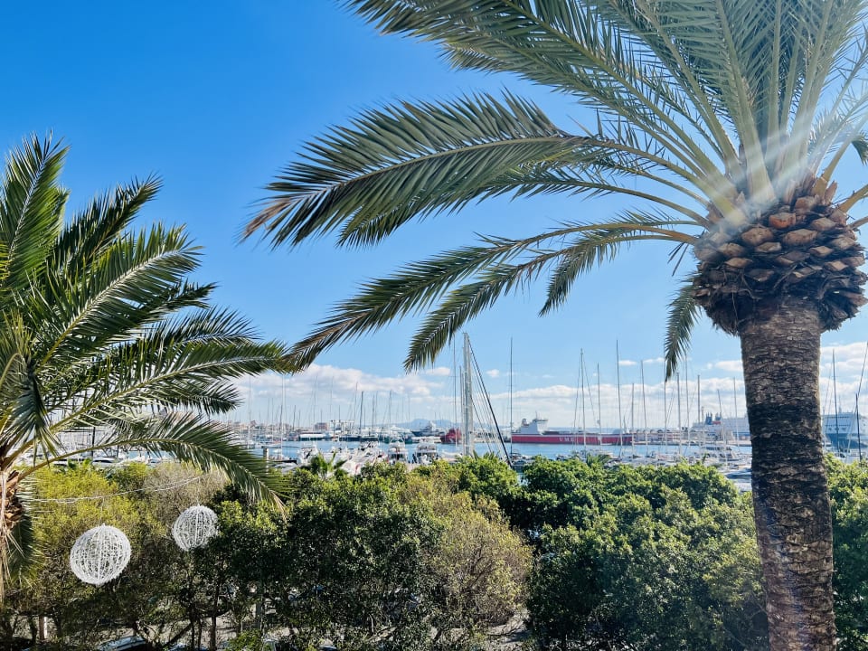 Ausblick Melia Palma Marina