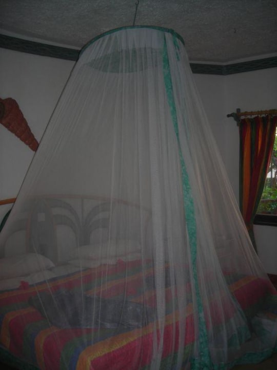 Zimmer Neptune Paradise Beach Resort & Spa