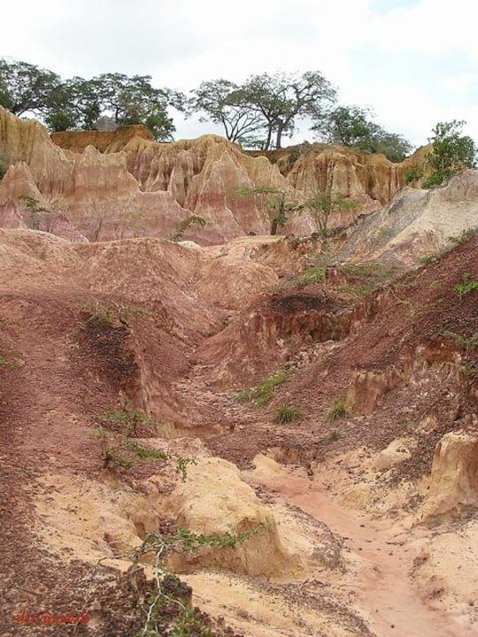 Hell's Kitchen 16 Hotel Traveller's Club