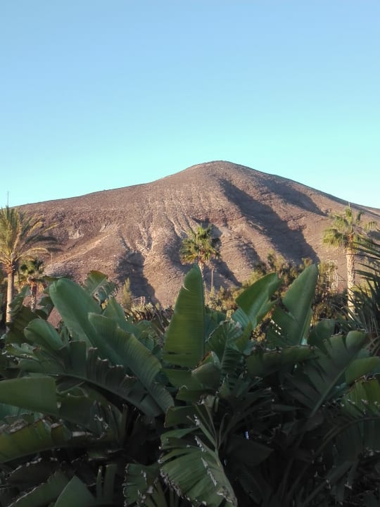 Ausblick allsun App.-Hotel Esquinzo Beach