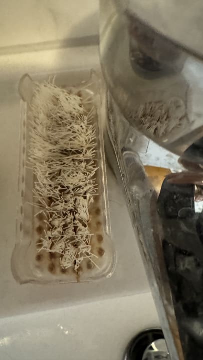 Zimmer Ferienzimmer Healing und Montuerwohnung