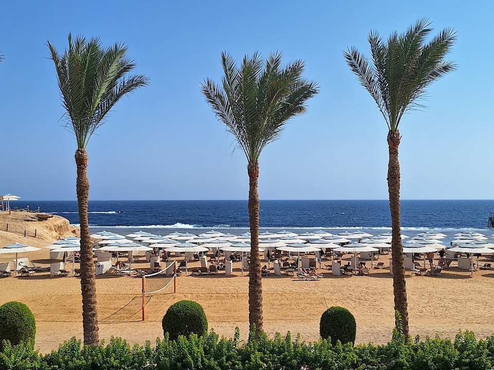 Strand JAZ Neo Reef Marsa