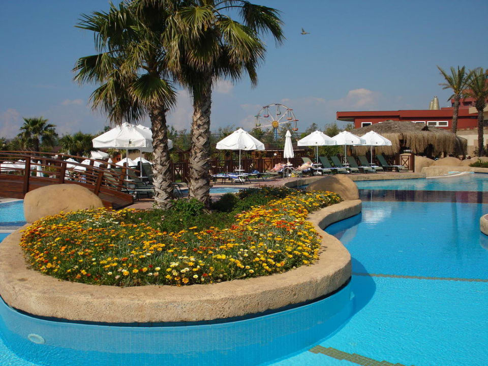 Insel in der Poollandschaft Fame Residence Lara & Spa