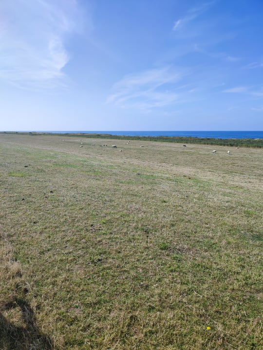 Strand Ferienhäuser Bauernhof Haltermann Landurlaub mit Stil