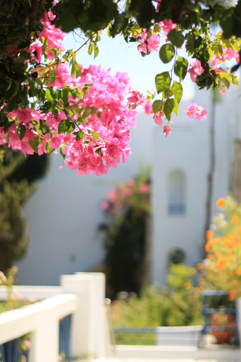 Ausblick Ekaterini Hotel