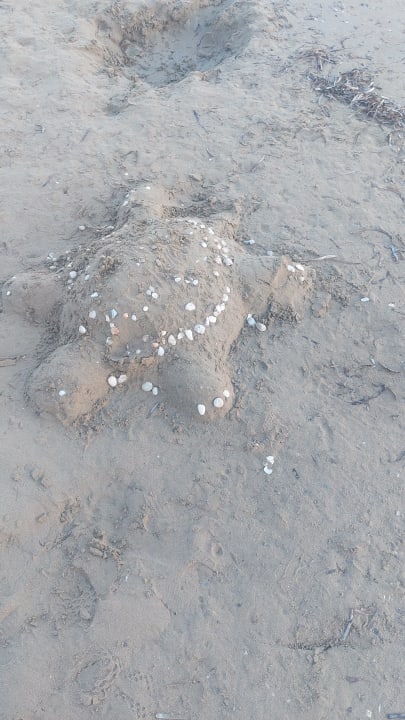 Strand Sidemarin Kirman Premium