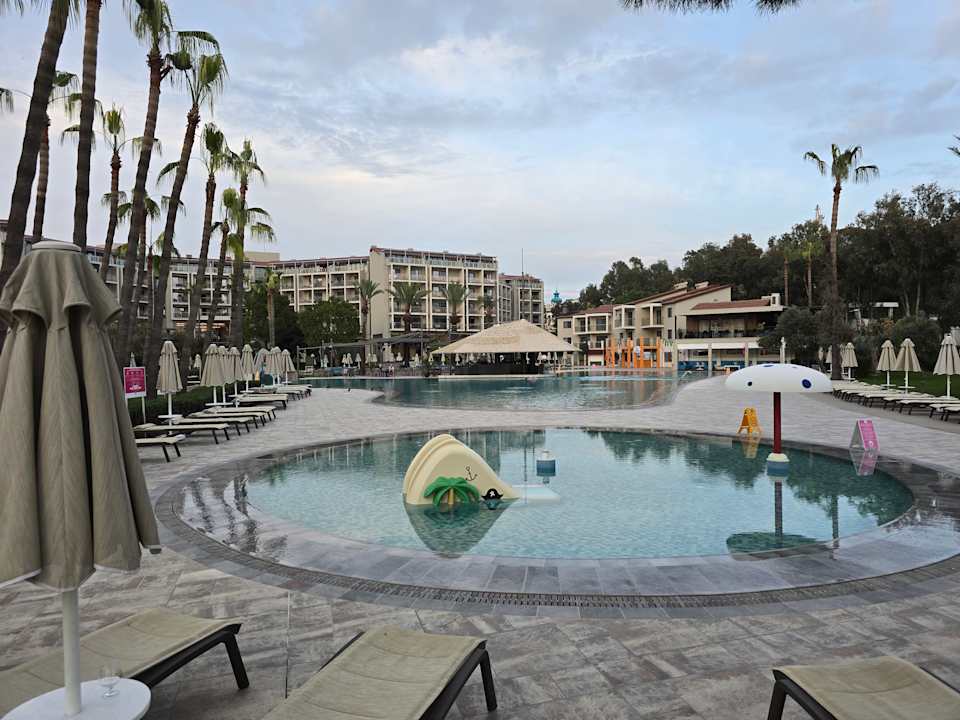 Sonstiges Arum Barut Collection