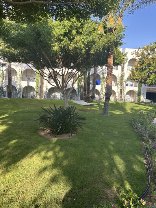 Gartenanlage Desert Rose