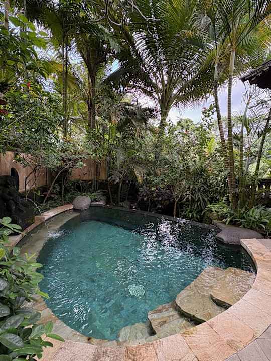 Pool Dwaraka The Royal Villas