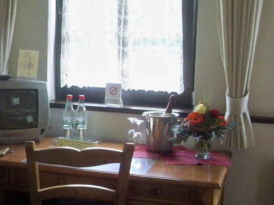 Empfang im Hotelzimmer Hotel & Gasthaus Goldener Hirsch