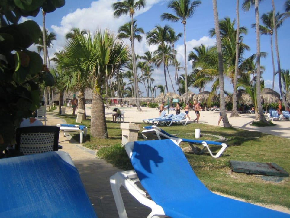 Keine Langeweile Royalton Splash Punta Cana