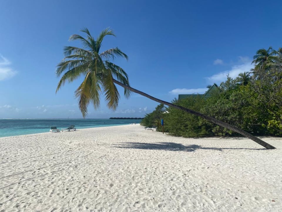 Strand Meeru Maldives Resort Island