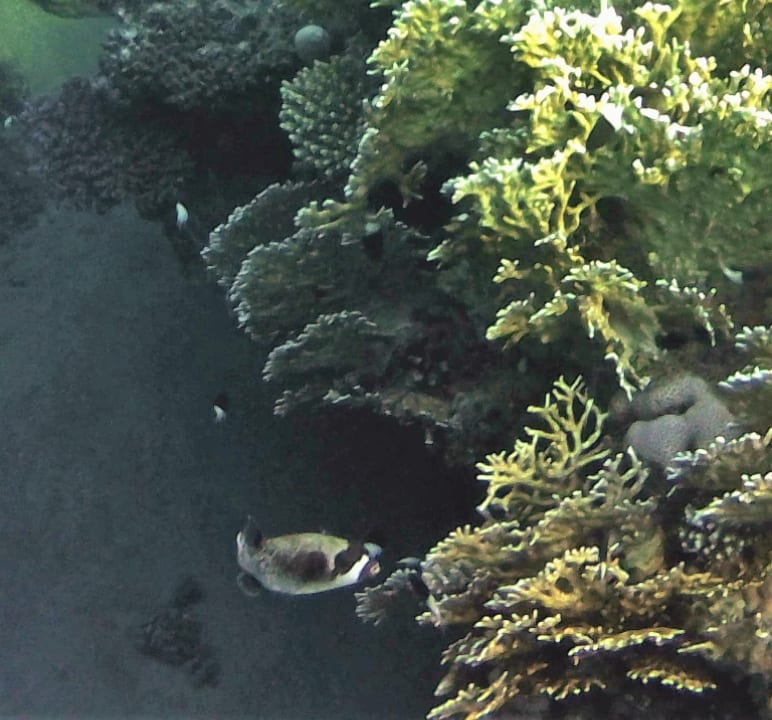 Sport & Freizeit Happy Life Village